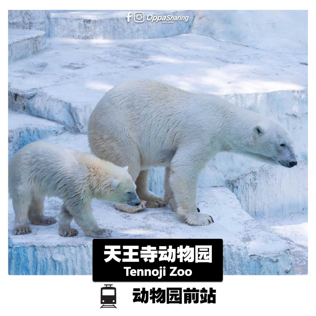 大阪天王寺动物园 Tennoji Zoo